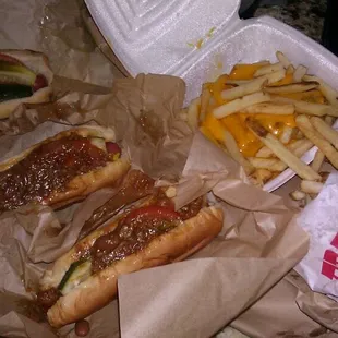 Hot dog, 2 chili dogs, cheese fries and regular fries