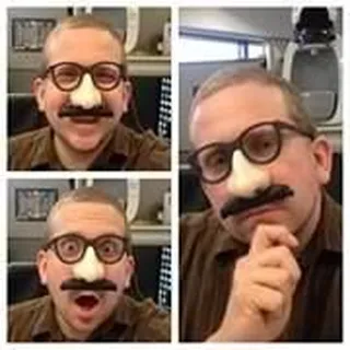 Matt G.