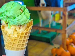 The Outlaw Saloon & Grill