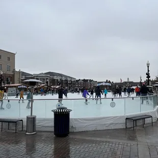 The Ice at Carter Green