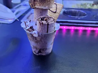 The Ice Cream Lab