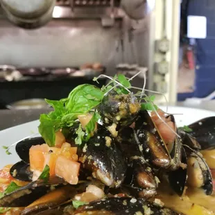 oysters and mussels, shellfish, oysters, mussels, food