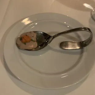 a spoon and spoon rest on a plate
