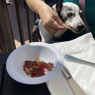 Free bacon bits for my fur baby