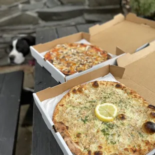 Mushroom pizza, New Haven