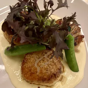 Scallops