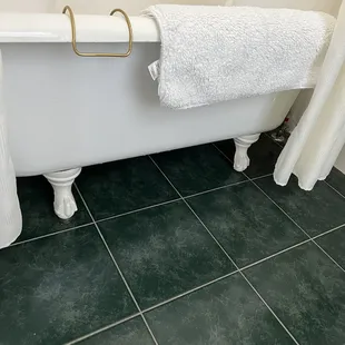The footed bath tub