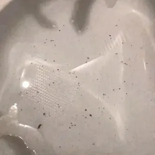 Awful!! Picture of tub after spitting out chunks  Not clean, or sanitary. Zoom in.