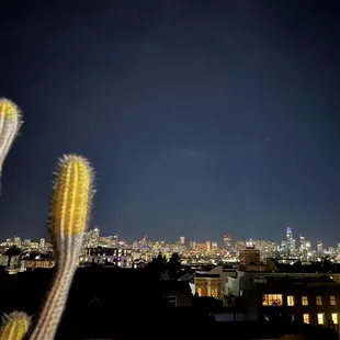 View from the rooftop