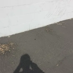 Yes...this is barf outside the Interlude...it continues all along the wall.