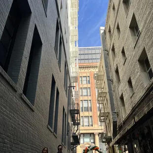 people walking down a narrow street
