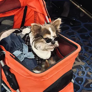 The girls who love to eat there with me.