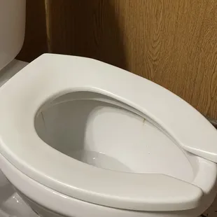 Dirty toilet