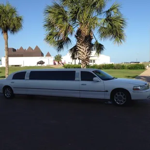 a white limousine with palm trees in the background