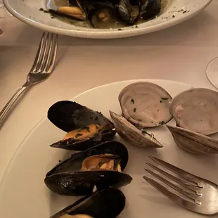 oysters and mussels, mussels, food, shellfish, oysters