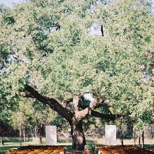 Ashley Kelemen Photography