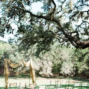 Angela Lally Photography