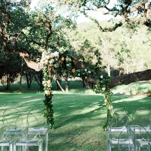 Angela Lally Photography