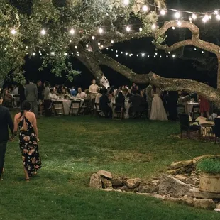 Ashley Kelemen Photography