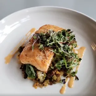 food, grilled fish, seafood, grilled seafood, fish