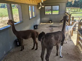 Crandall Bowles Children's Farm