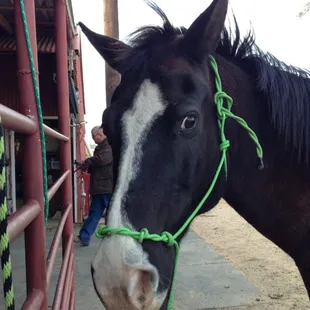 My horse she lives at the j ranch:)
