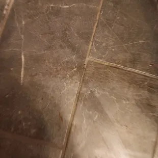 Dryer blood everywhere