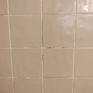 Mold in the shower