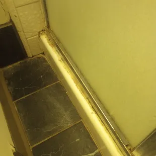 Are words really necessary? Disgusting!!