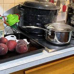 The Jam & Jelly Lady