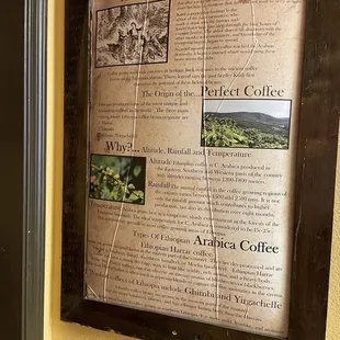 Arabica coffee storyline.