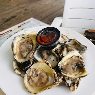 Oysters