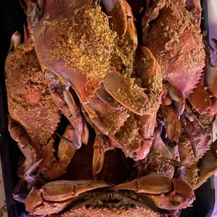 Best crabs in MD!!!!