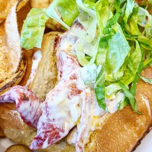 Lobster roll