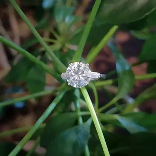 We have a selection of contemporary and vintage wedding rings.