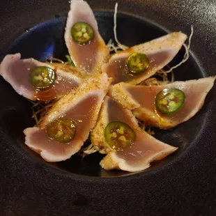 Albacore kikazz