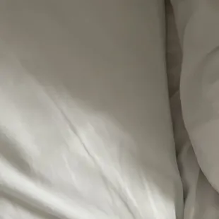 Dirty floors stains, twin beds pushed together