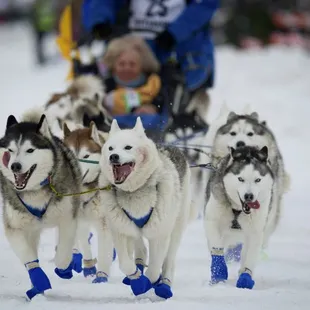 Let us tell you about our special events in Alaska.