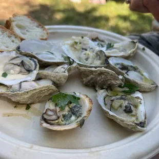 oysters and mussels, mussels, oysters, food, shellfish