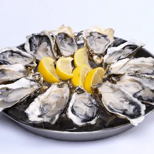 a plate of oysters