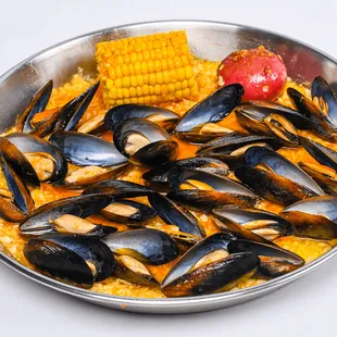 oysters, food, mussels, oysters and mussels, shellfish