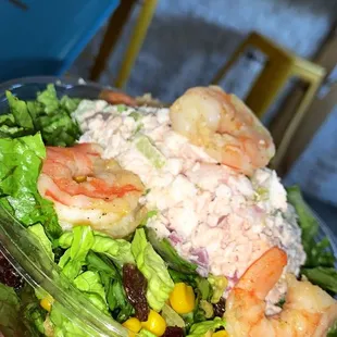 a hand holding a salad