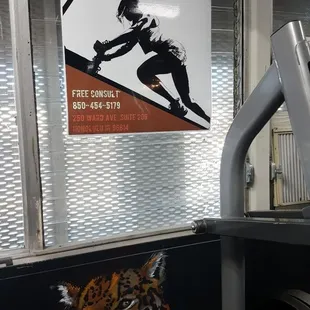 A huge welcome to our 2 newest trainers of Prodigy Fitness at The Jungle Gym. Call for a consult.