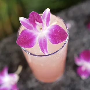 Barbie Long Island - Our cocktail with a playful twist of flavors of rose liqueur and pink lemonade!