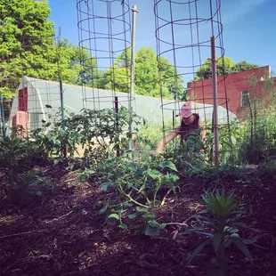 We love our school yard garden.