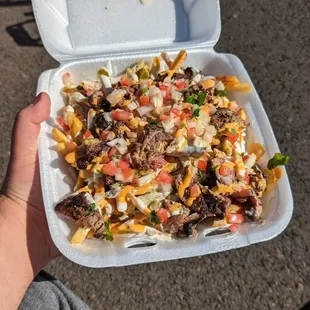 Lamb kebab fries