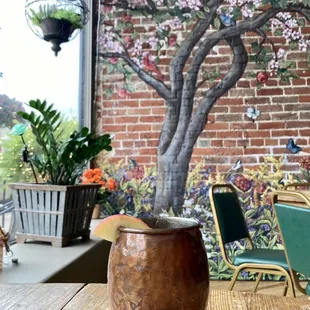 a potted plant on a wooden table