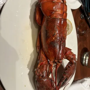Whole lobster. Worth all 71 dollars