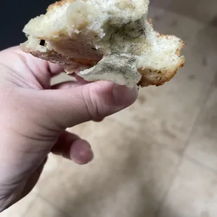 Mold in one of the air pockets of the bread!