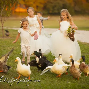 Our ducks who live around the pond love guests!